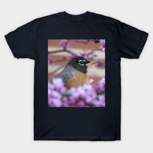 Ameican Robin in a Flowering Tree T-Shirt